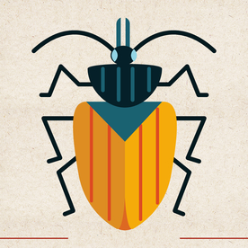 矢量动物 矢量植物 插画 手绘