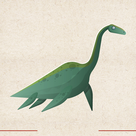 矢量动物 矢量植物 插画 手绘