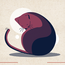 矢量动物 矢量植物 插画 手绘