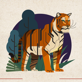 矢量动物 矢量植物 插画 手绘