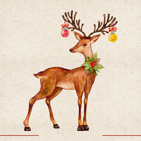 矢量动物 矢量植物 插画 手绘