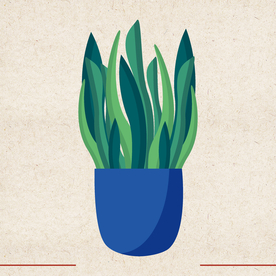 矢量动物 矢量植物 插画 手绘