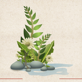 矢量动物 矢量植物 插画 手绘