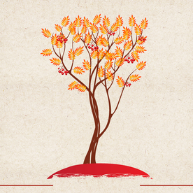 矢量动物 矢量植物 插画 手绘