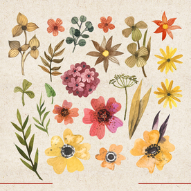 矢量动物 矢量植物 插画 手绘