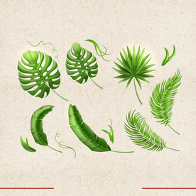 矢量动物 矢量植物 插画 手绘