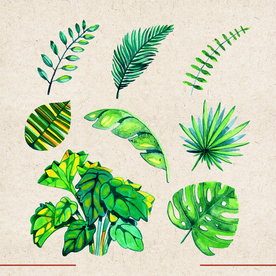 矢量动物 矢量植物 插画 手绘