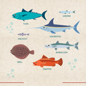 矢量动物 矢量植物 插画 手绘