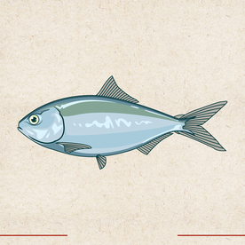 矢量动物 矢量植物 插画 手绘