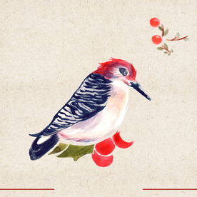 矢量动物 矢量植物 插画 手绘