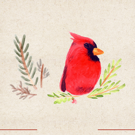 矢量动物 矢量植物 插画 手绘