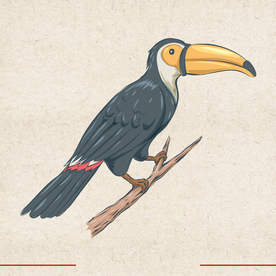 矢量动物 矢量植物 插画 手绘