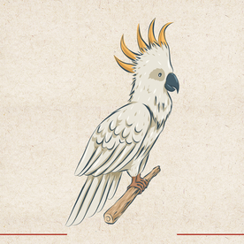 矢量动物 矢量植物 插画 手绘