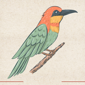 矢量动物 矢量植物 插画 手绘