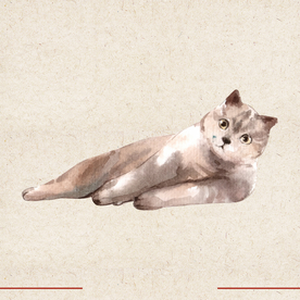 矢量动物 矢量植物 插画 手绘