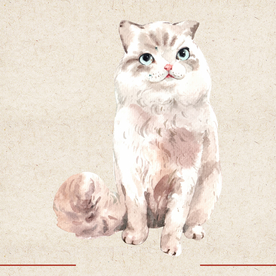 矢量动物 矢量植物 插画 手绘