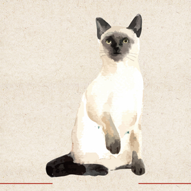 矢量动物 矢量植物 插画 手绘