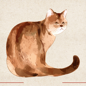 矢量动物 矢量植物 插画 手绘