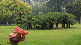 郑州大学