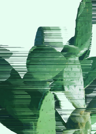 多肉植物装饰画