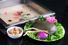 锅底沙参甲鱼汤