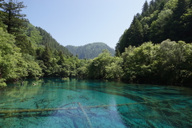 九寨沟