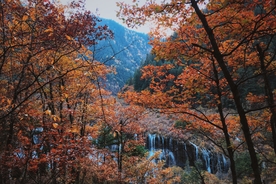 九寨沟