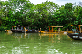 西溪湿地