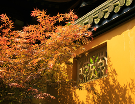 灵隐寺