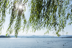 西湖