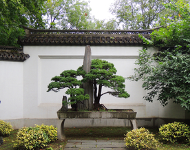 西湖