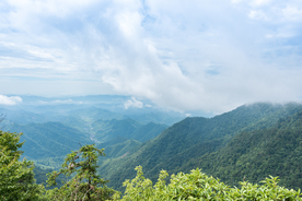 西天目山
