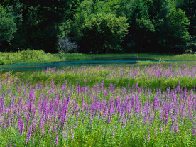 美丽中国：山水如画
