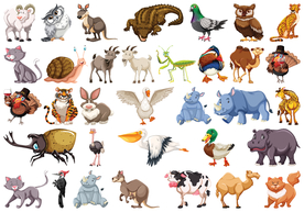矢量动物素材