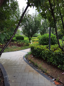 公园人行道夏季雨季背景素材