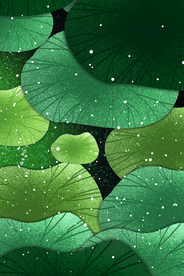 美丽荷叶装饰画