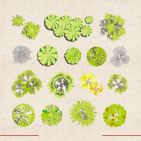 矢量动物 矢量植物 插画 手绘