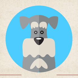 矢量动物 矢量植物 插画 手绘