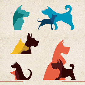 矢量动物 矢量植物 插画 手绘