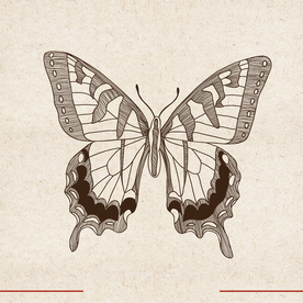 矢量动物 矢量植物 插画 手绘