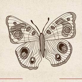 矢量动物 矢量植物 插画 手绘