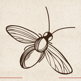 矢量动物 矢量植物 插画 手绘