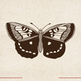 矢量动物 矢量植物 插画 手绘