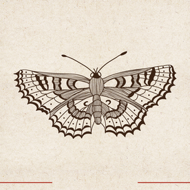 矢量动物 矢量植物 插画 手绘