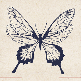 矢量动物 矢量植物 插画 手绘