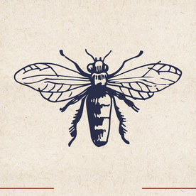 矢量动物 矢量植物 插画 手绘