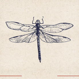 矢量动物 矢量植物 插画 手绘