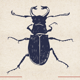 矢量动物 矢量植物 插画 手绘