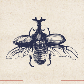 矢量动物 矢量植物 插画 手绘