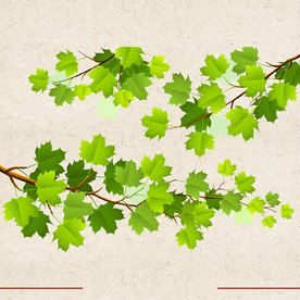 矢量动物 矢量植物 插画 手绘